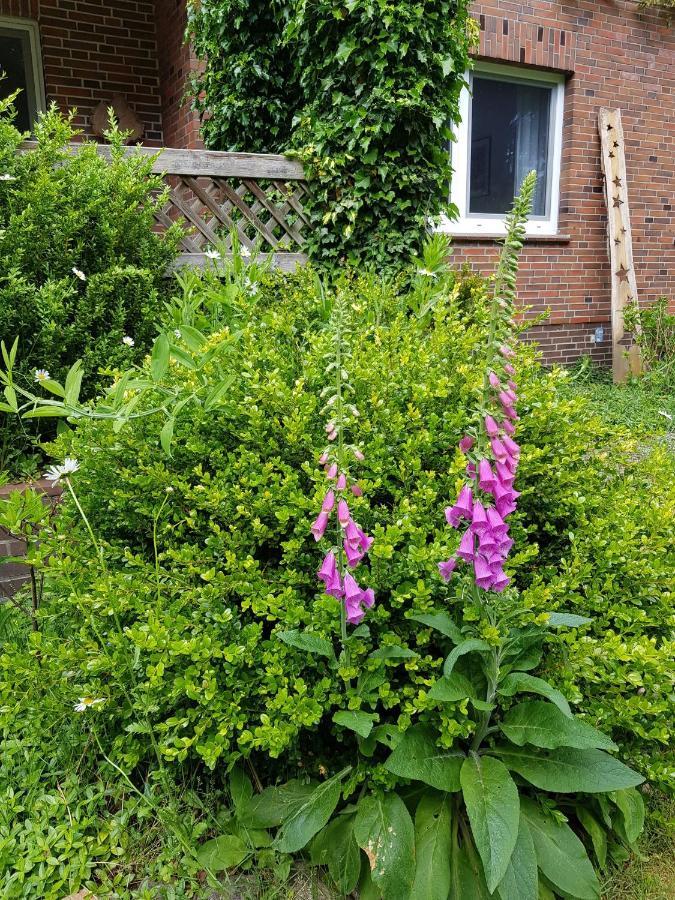 Ferienwohnung Im Naturgarten Шнефердінген Екстер'єр фото